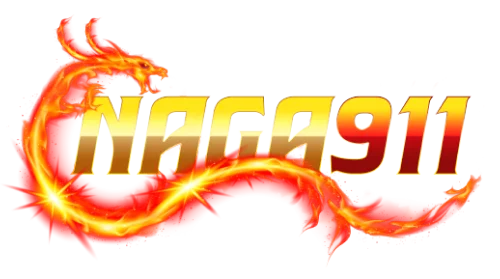 logo NAGA911